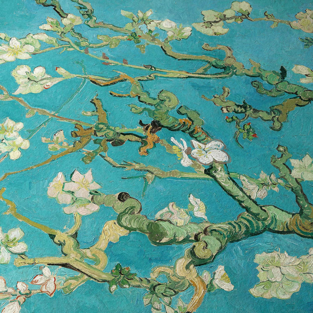Almendros en flor