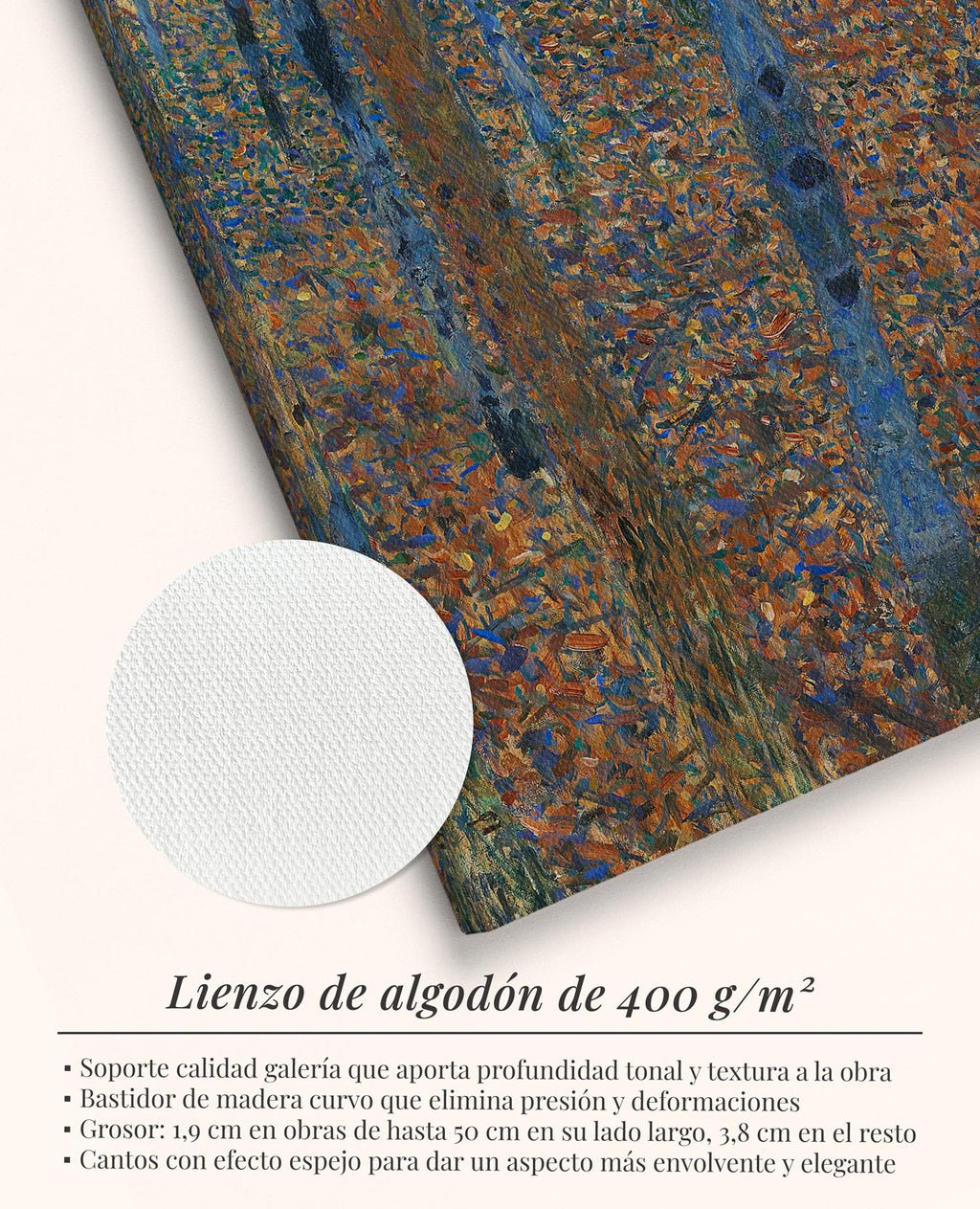 Bosque de hayas I