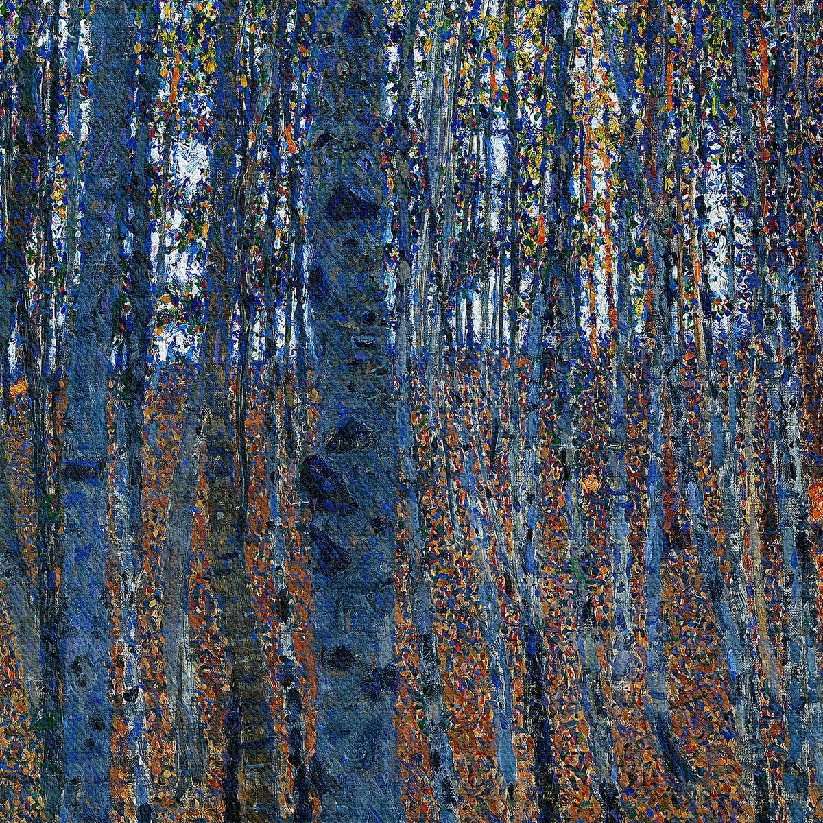 Bosque de hayas I
