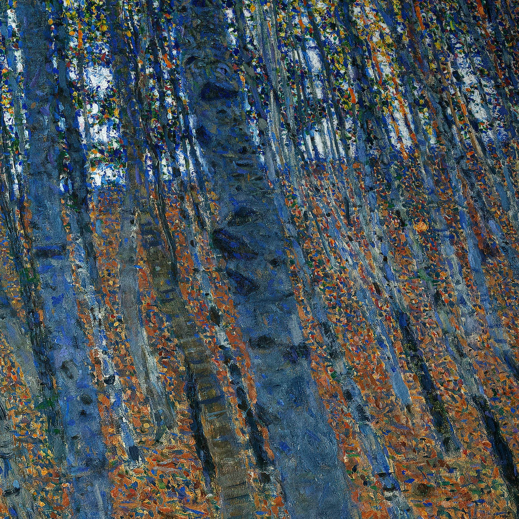 Bosque de hayas I