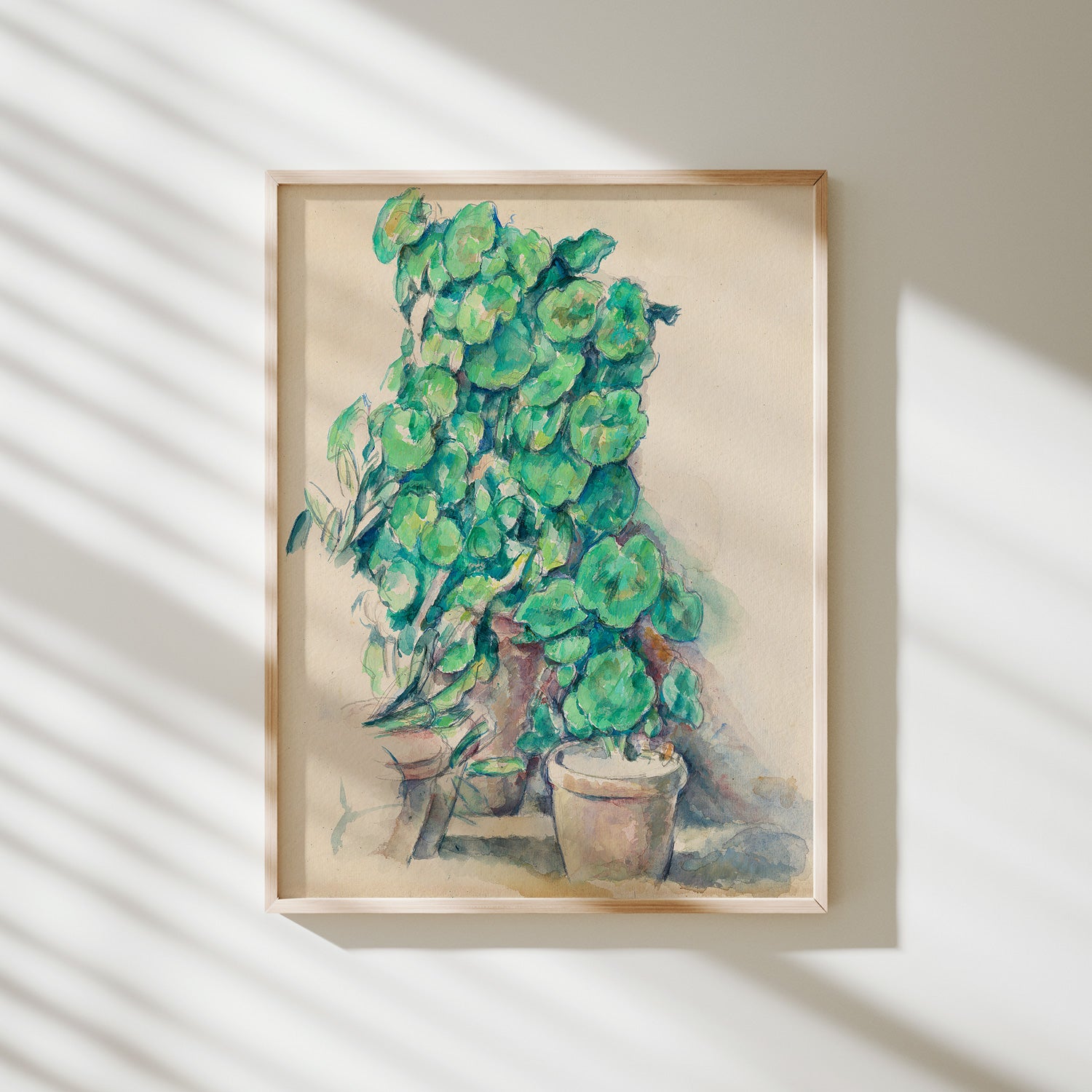 geranios cezanne