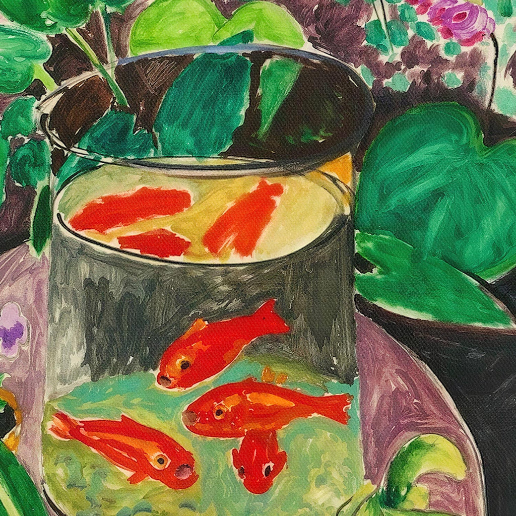 Peces rojos