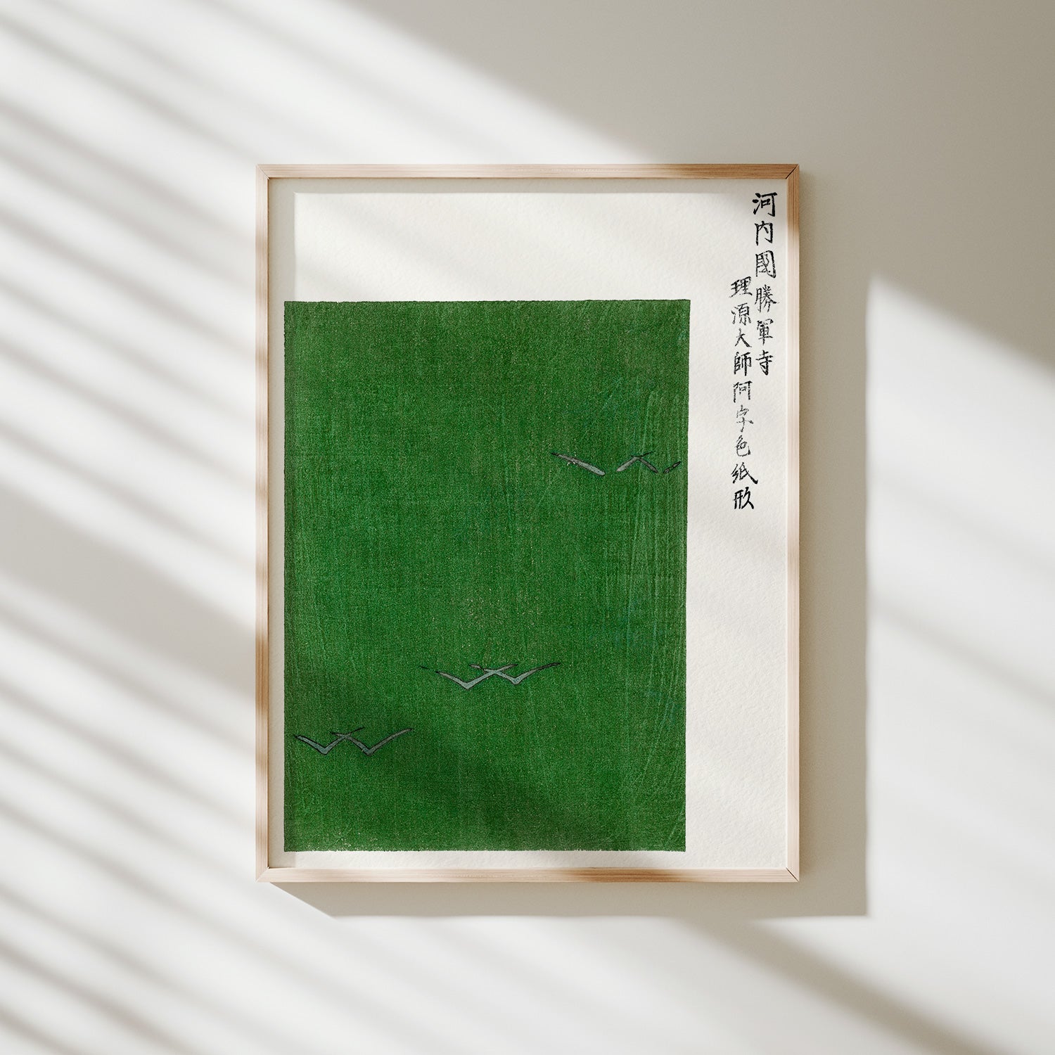 campo verde con aves tomoki
