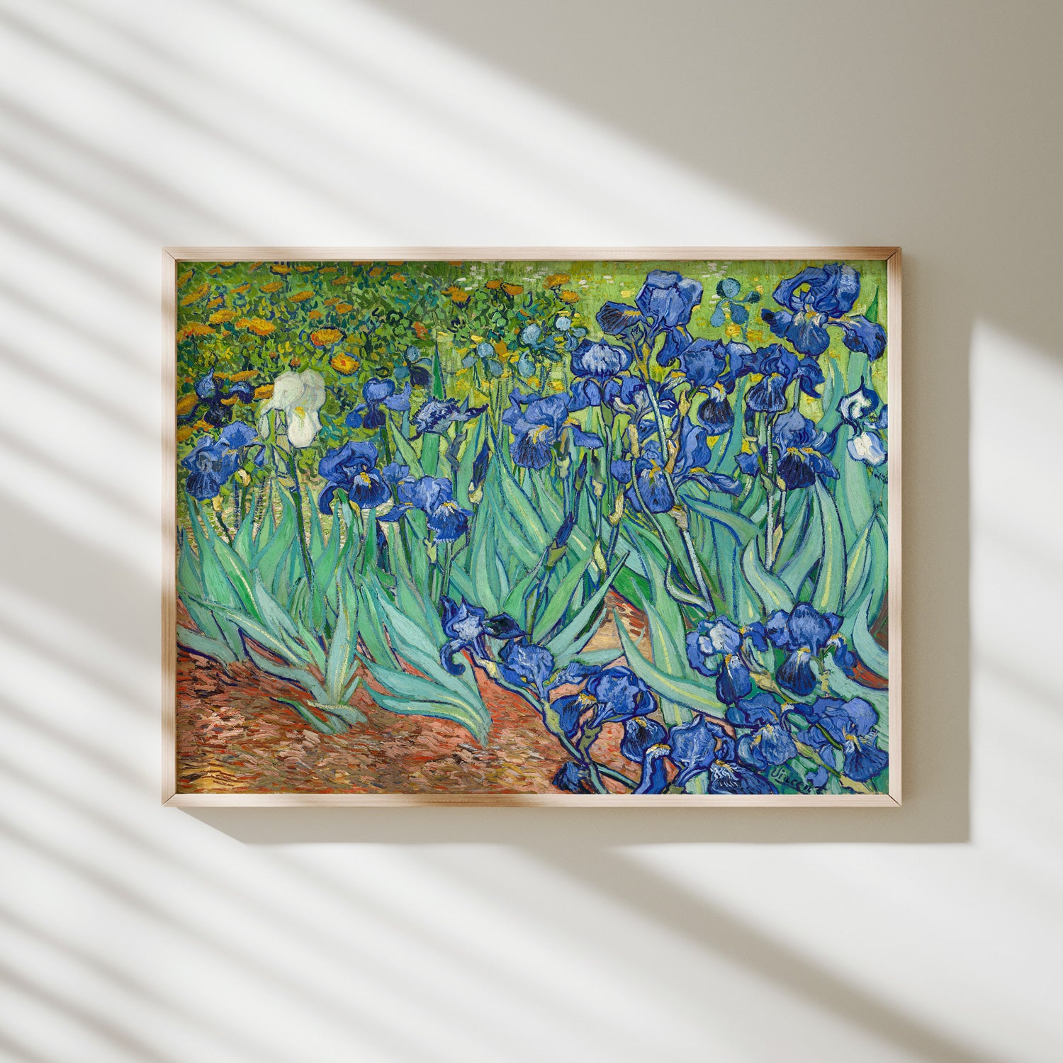 lirios van gogh