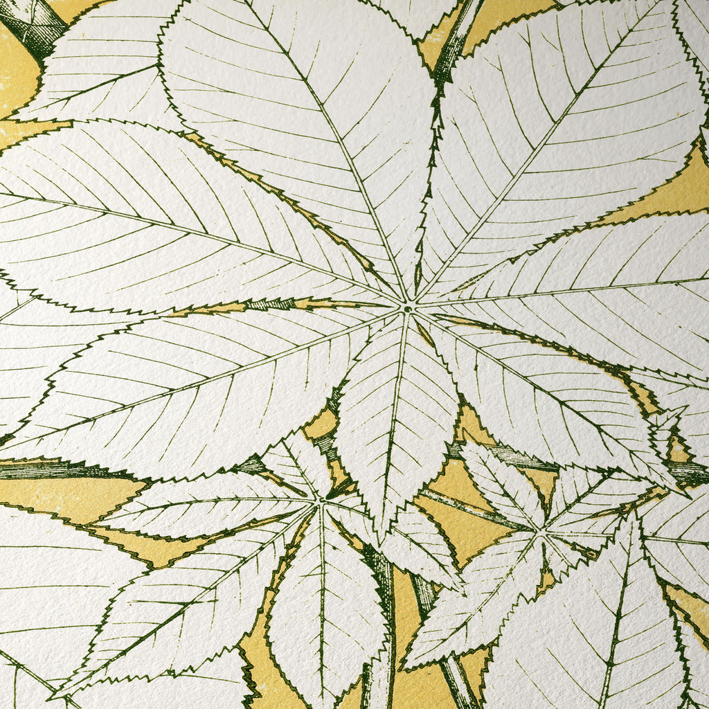 Hojas de la naturaleza, No. 1