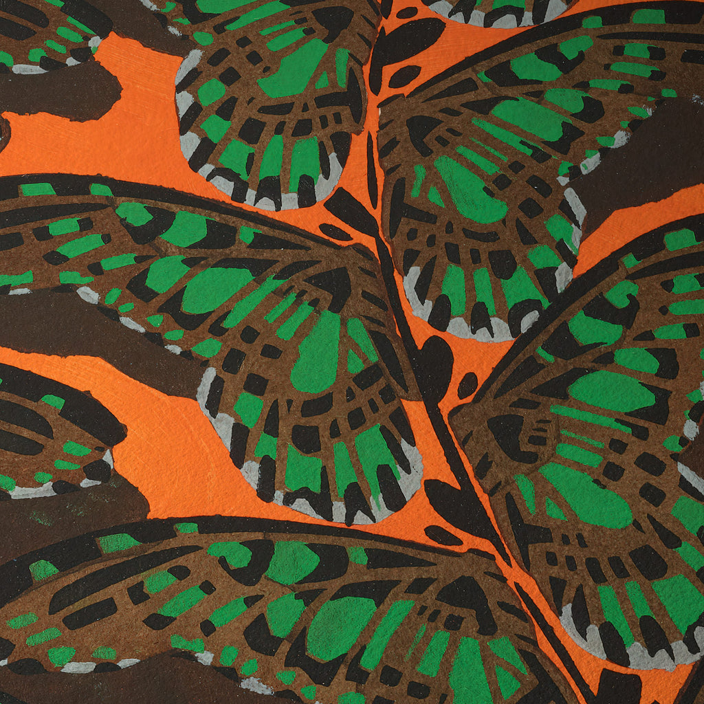 Mariposas, plancha 17