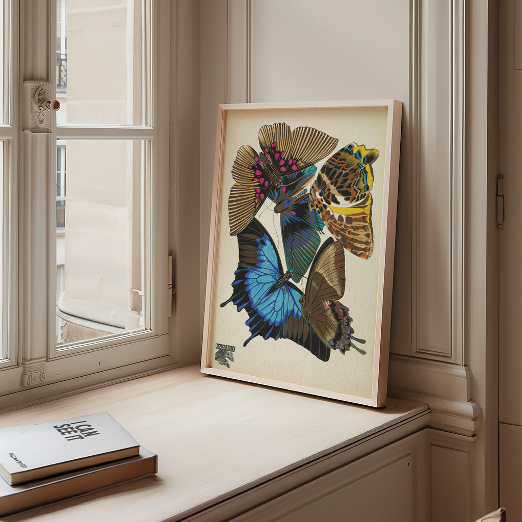 Mariposas, plancha 16