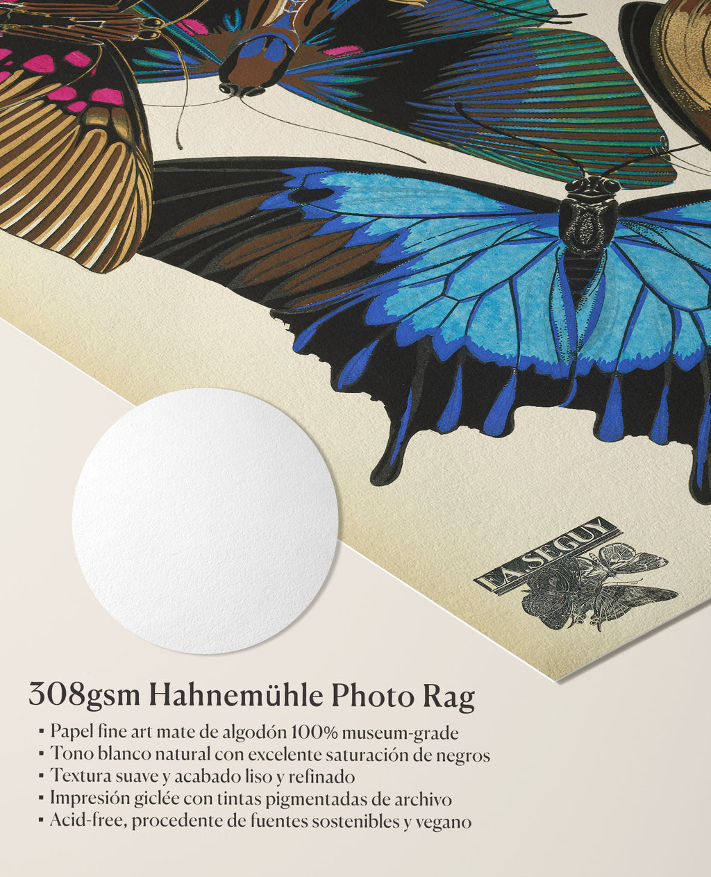 Mariposas, plancha 16