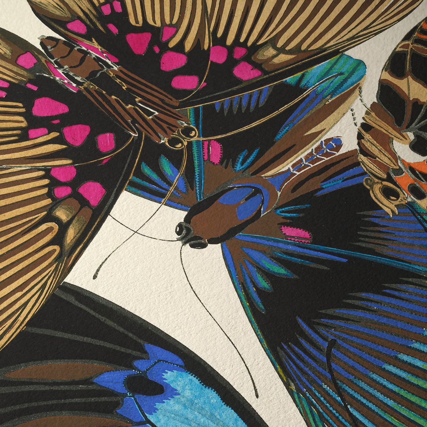 Mariposas, plancha 16