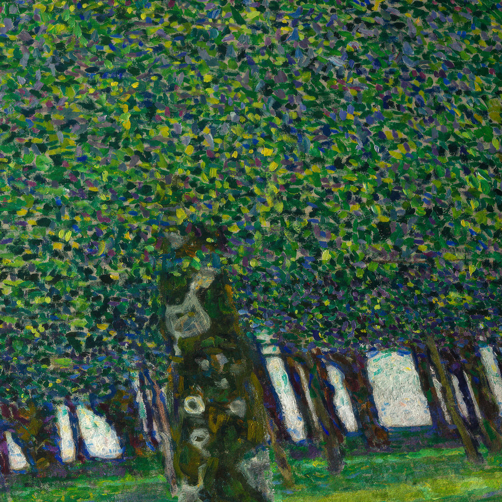El parque