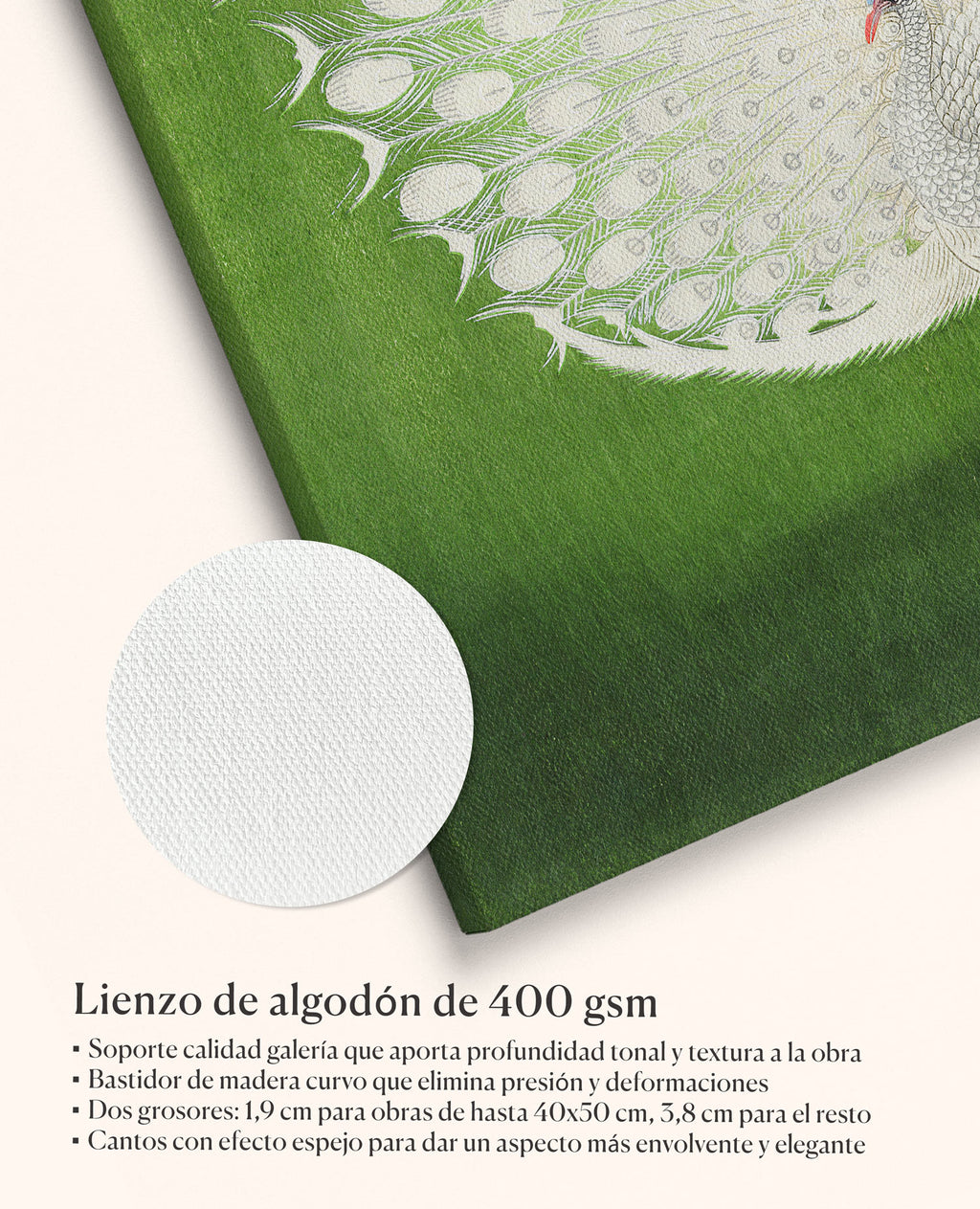 Pavo real