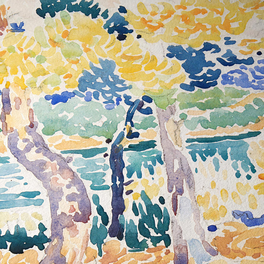 Pinos en la costa