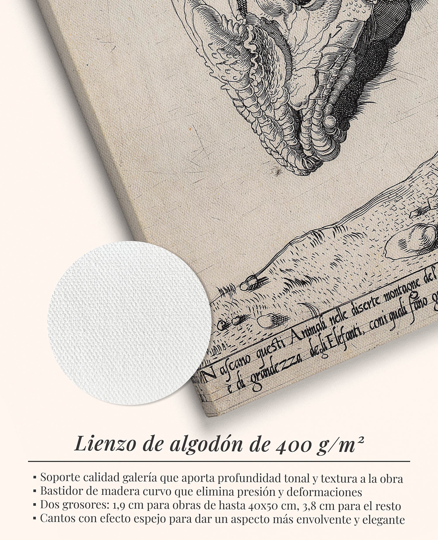 Rinoceronte