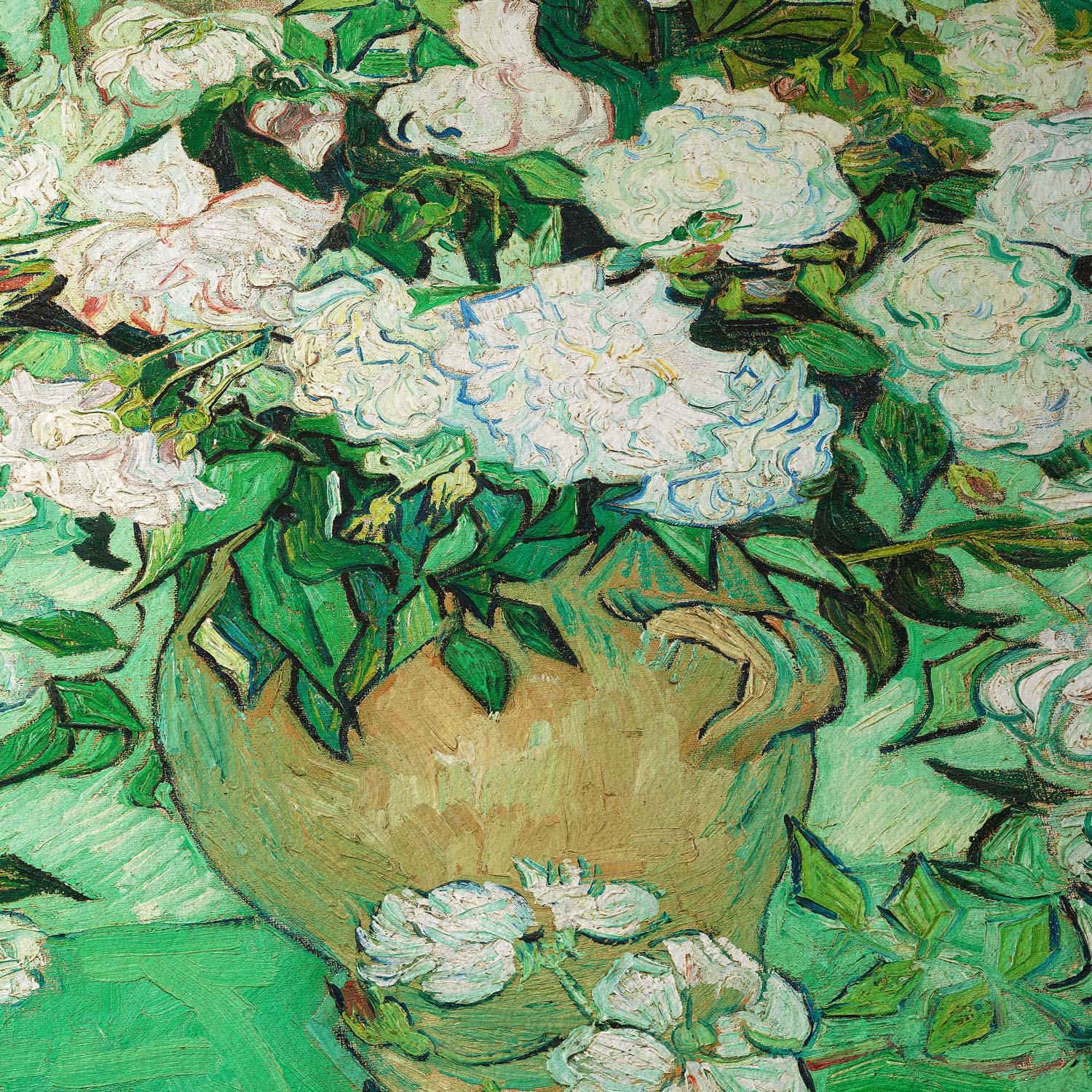 Rosas