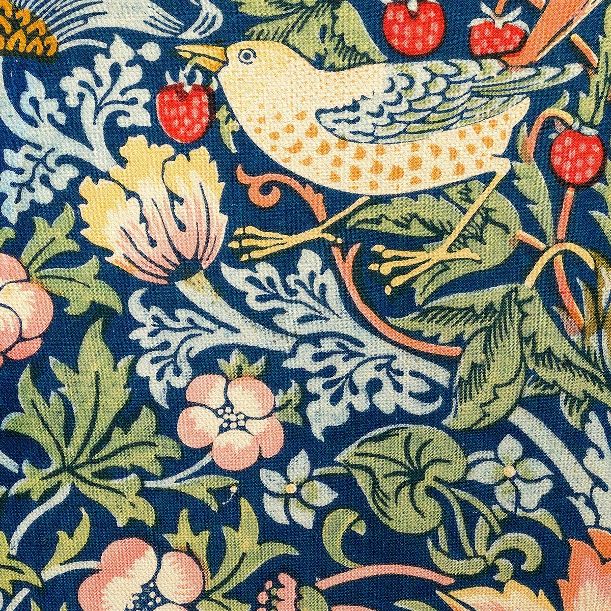 El ladrón de fresas