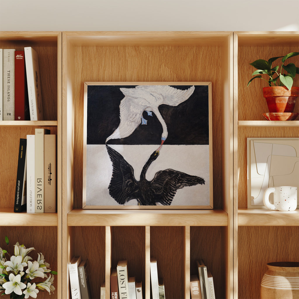 Cisne, No. 1