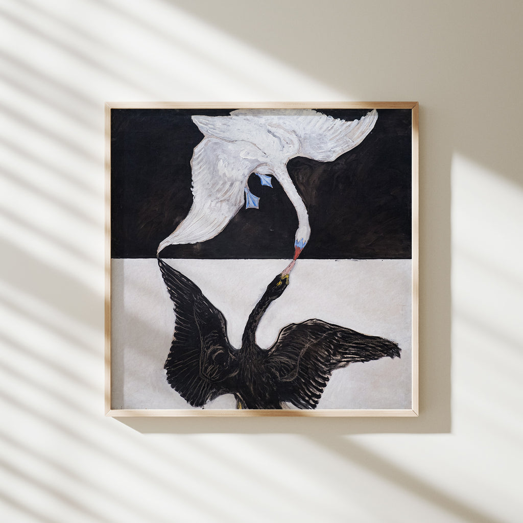 cisne nº 1 klint