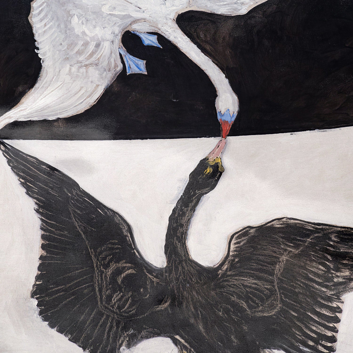 Cisne, No. 1