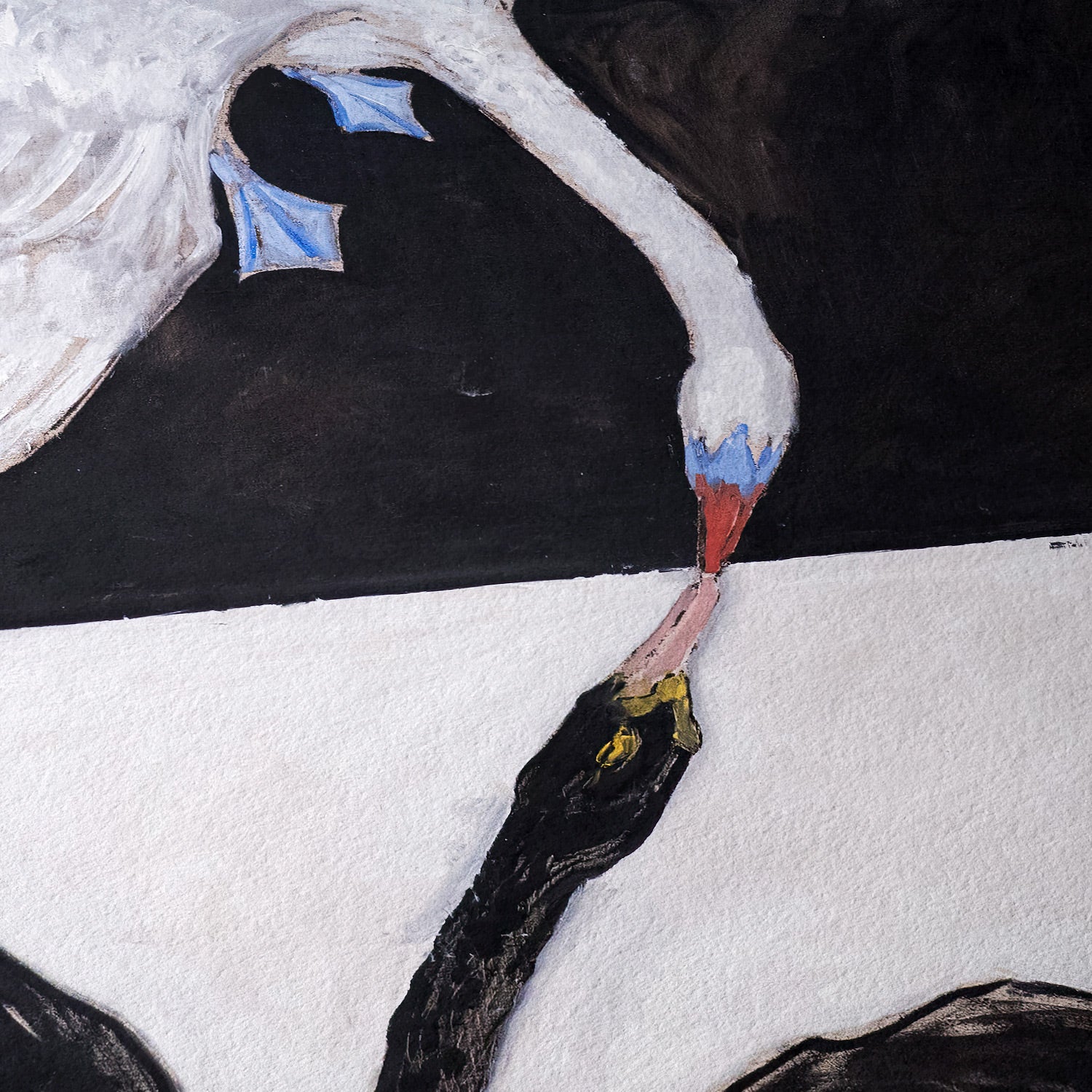 Cisne, No. 1