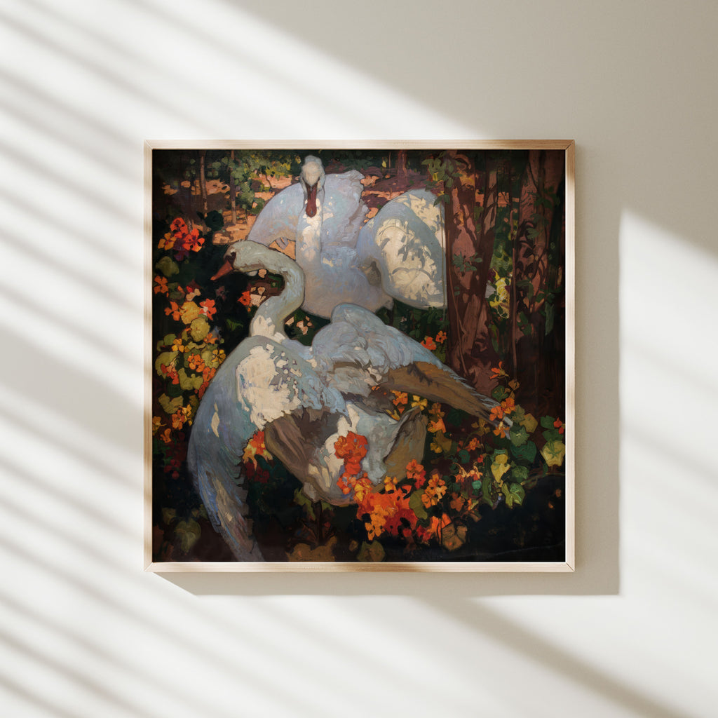 los cisnes brangwyn