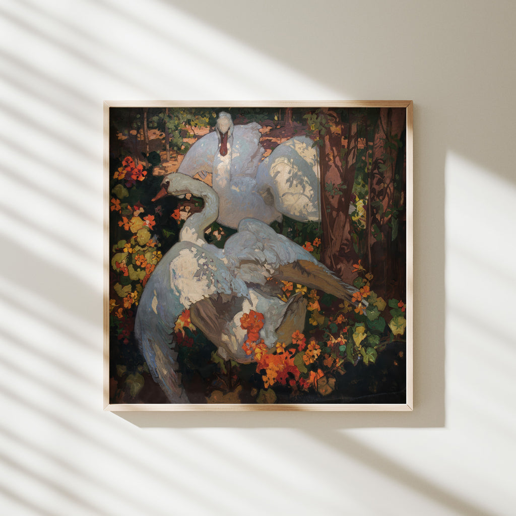 los cisnes brangwyn