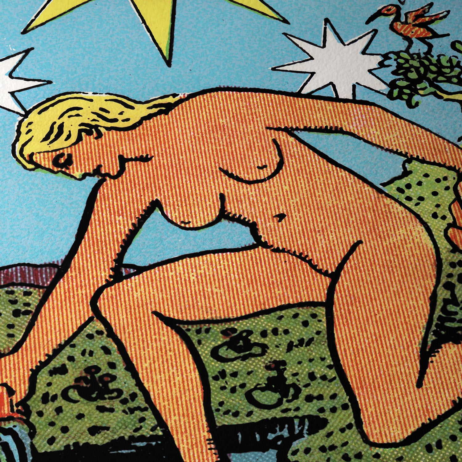 La estrella (XVII)