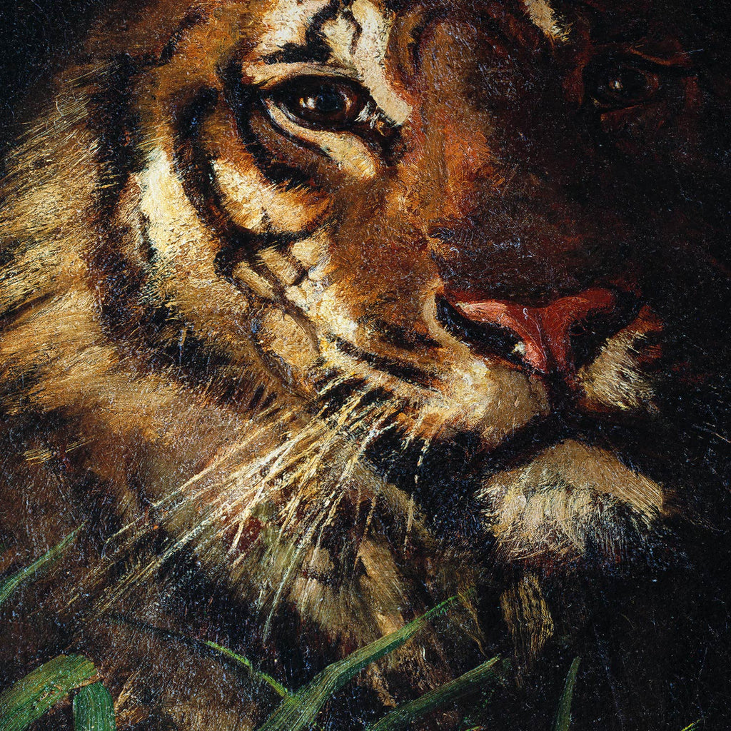 Cabeza de tigre