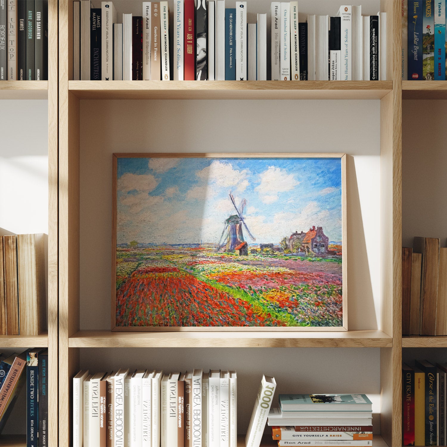 Campo de tulipanes en Holanda