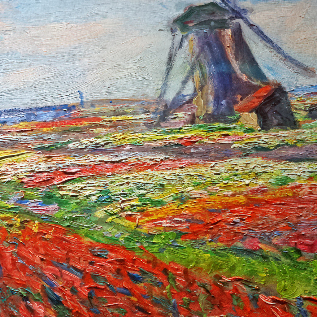 Campo de tulipanes en Holanda