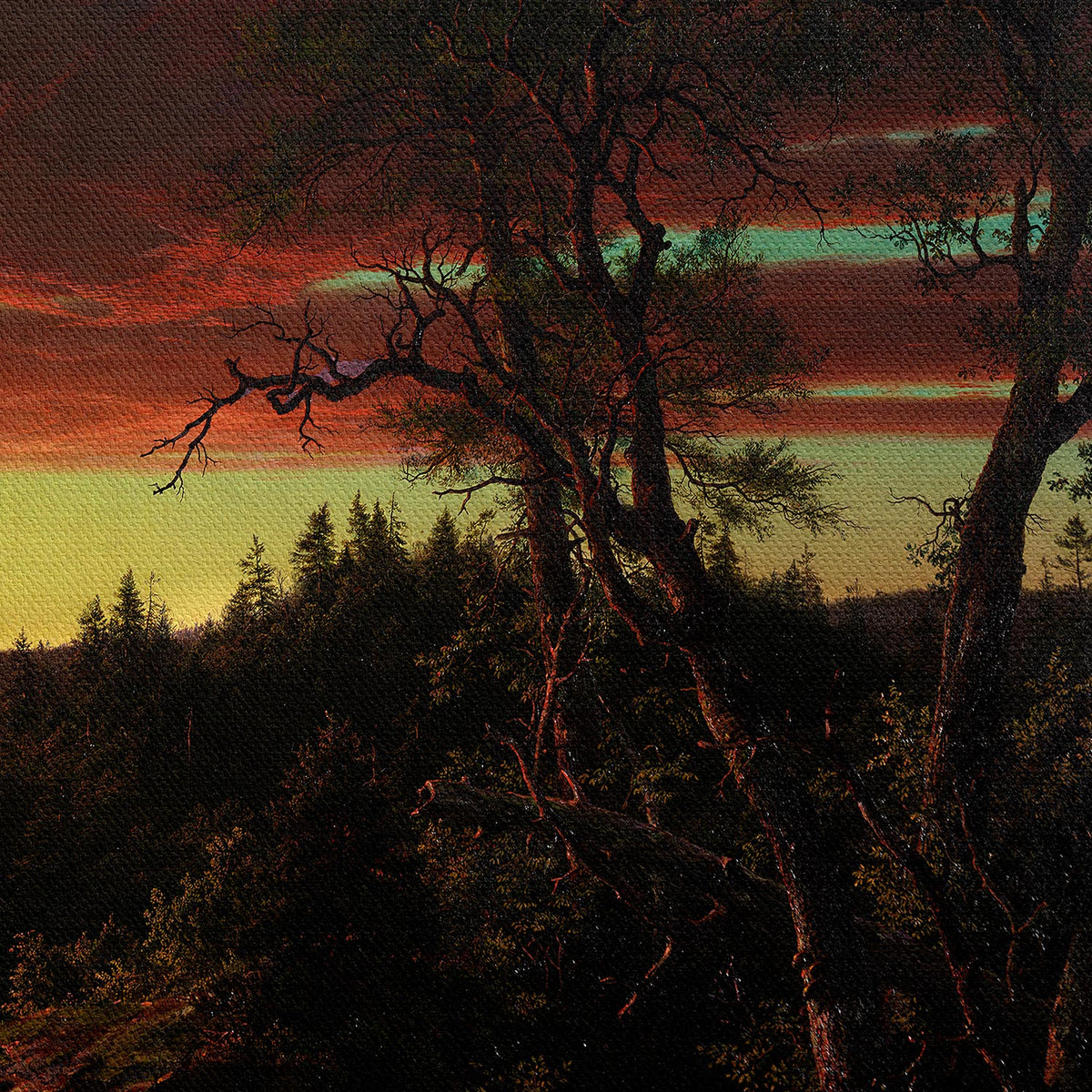 Crepúsculo en la naturaleza