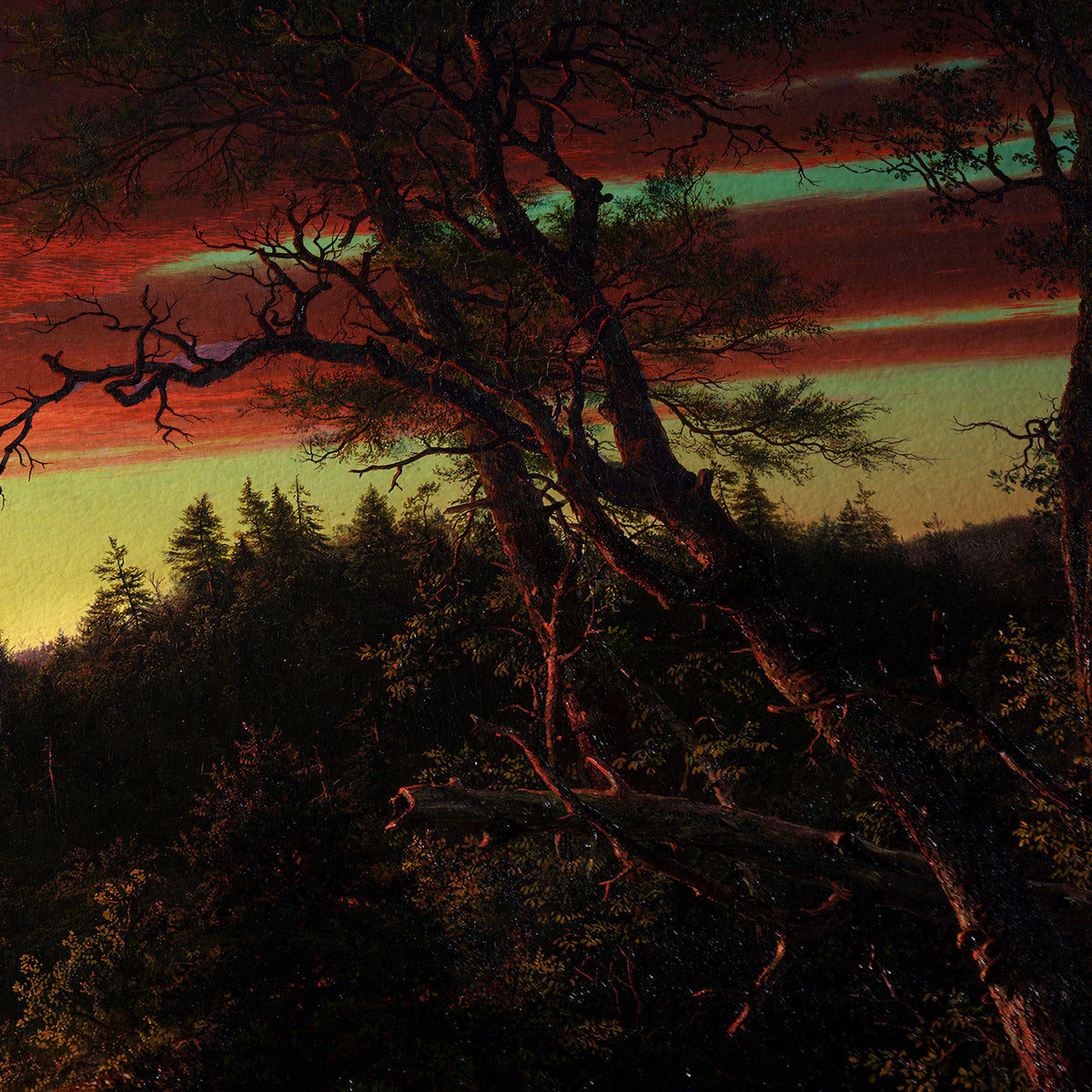 Crepúsculo en la naturaleza