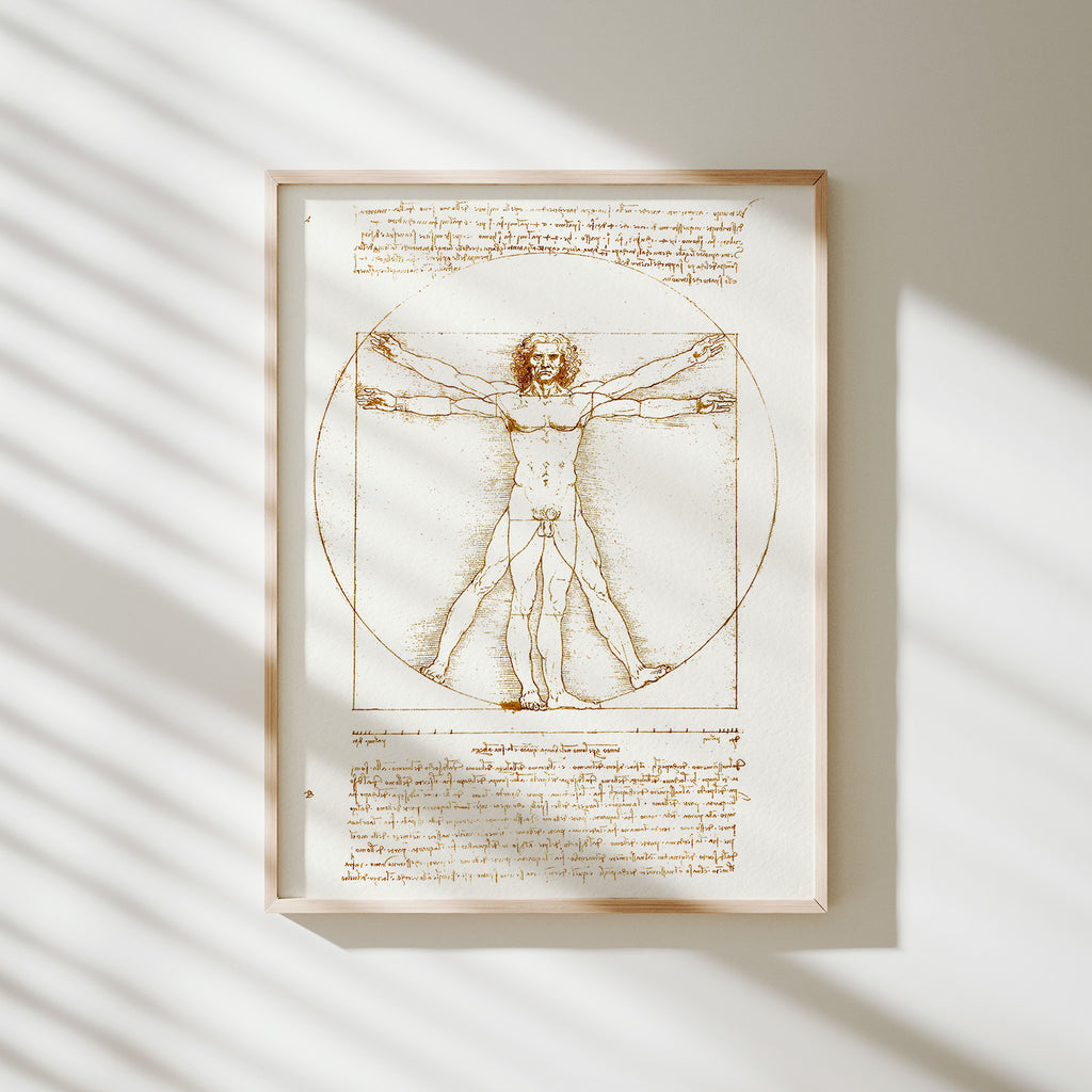 hombre de vitruvio da vinci