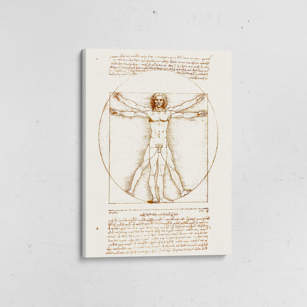 hombre de vitruvio da vinci canvas