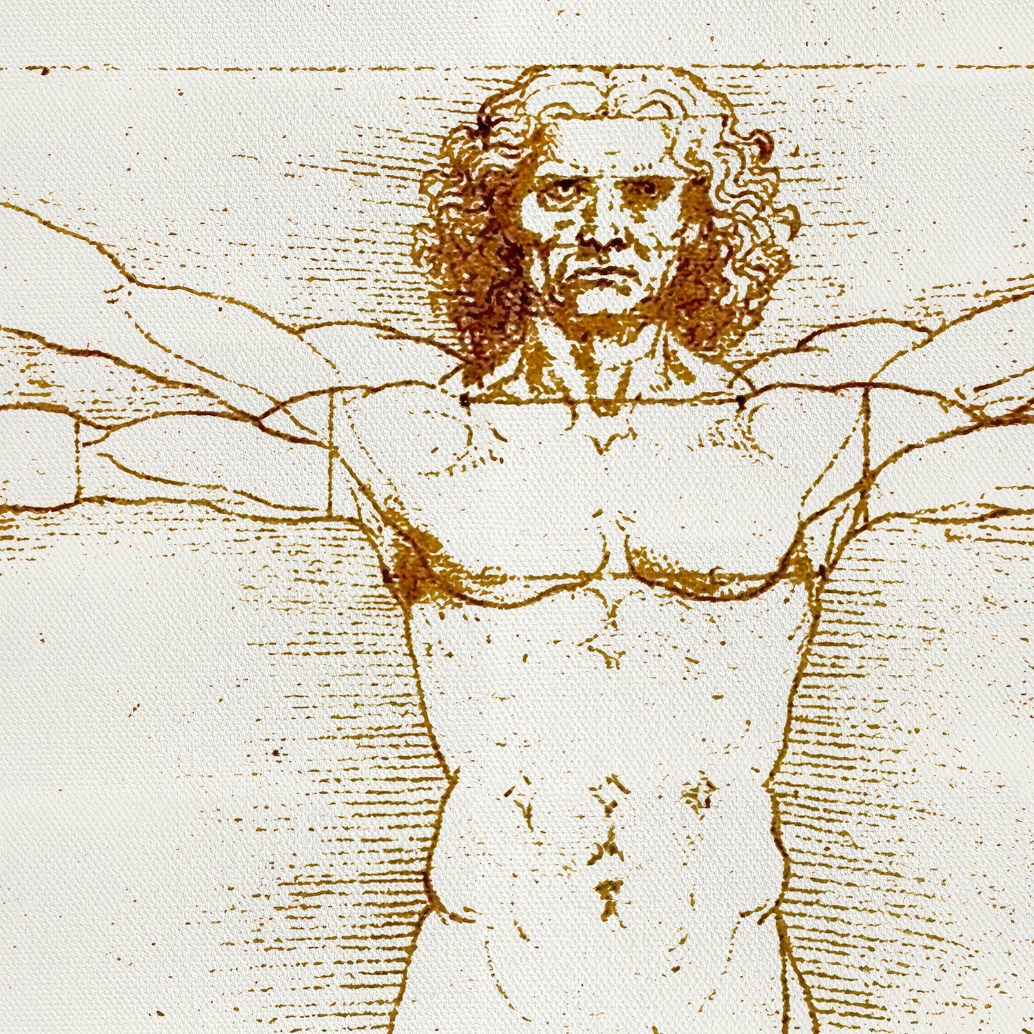 El hombre de Vitruvio