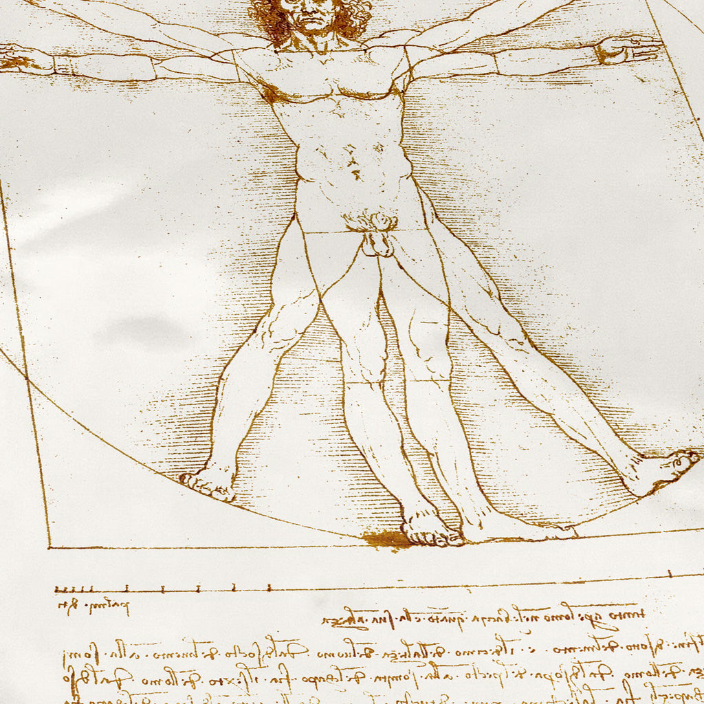 El hombre de Vitruvio
