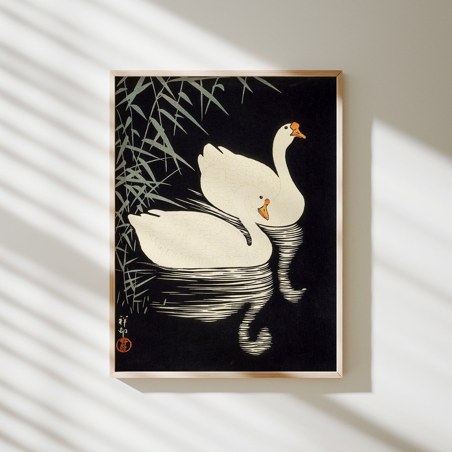 gansos blancos nadando entre juncos koson