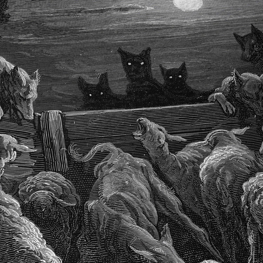 Los lobos y el rebaño de ovejas