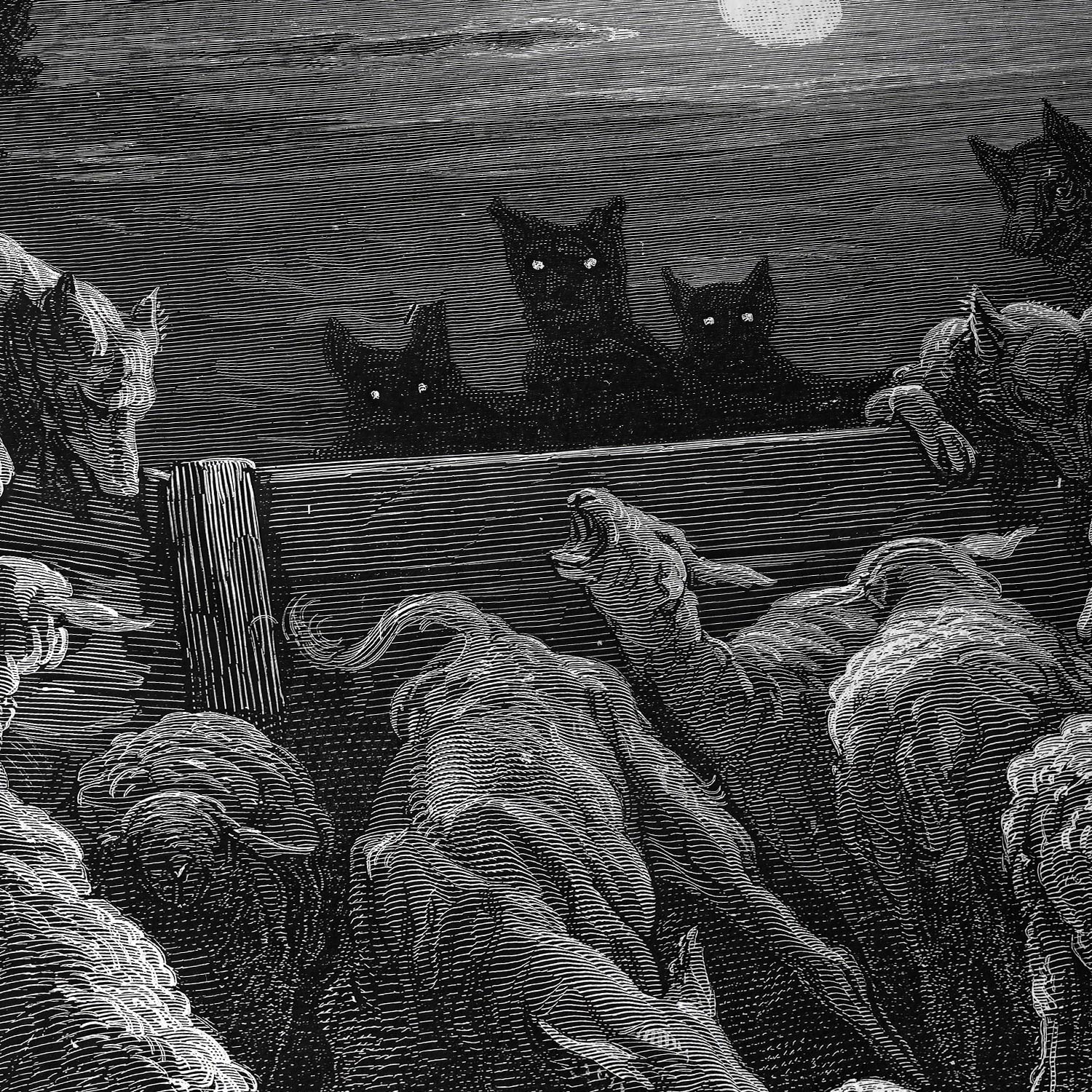 Los lobos y el rebaño de ovejas