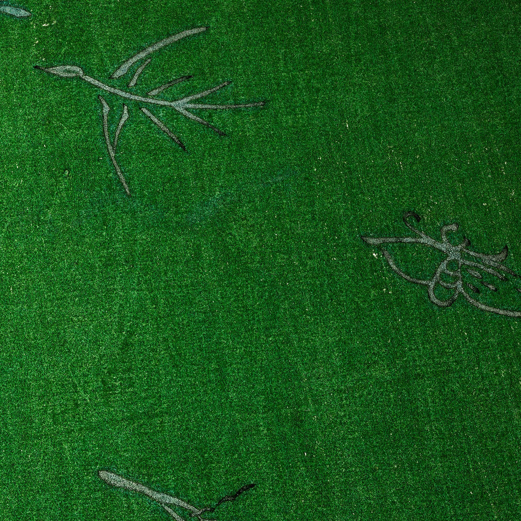 Campo verde con insectos