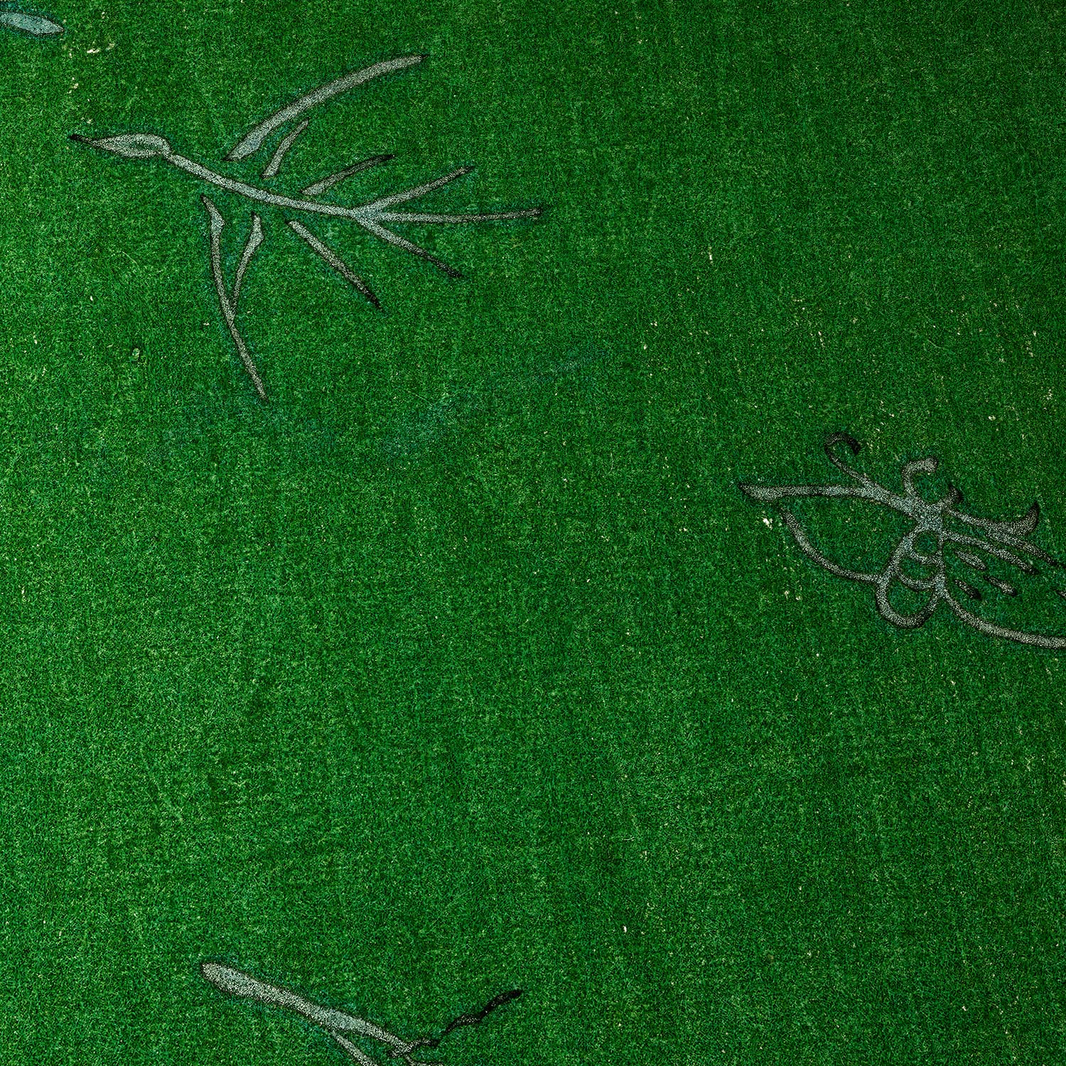 Campo verde con insectos
