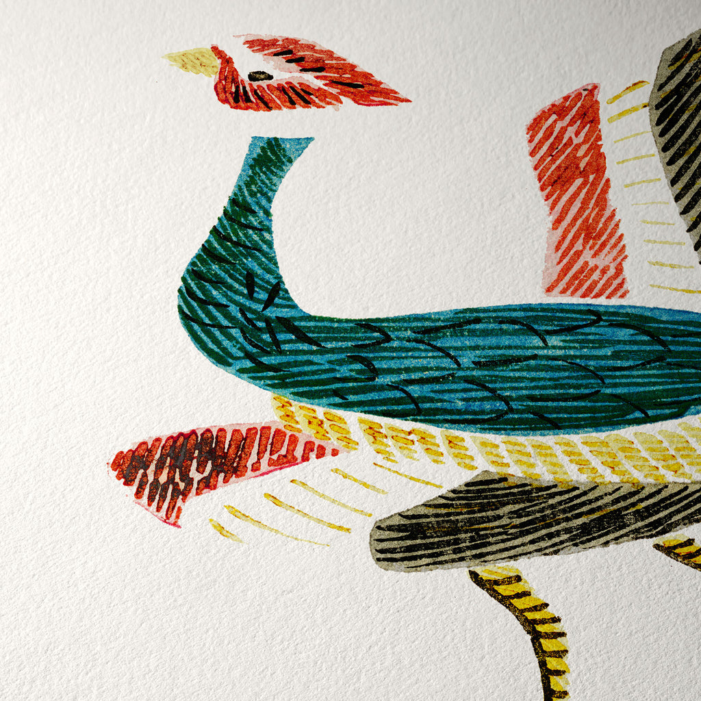 Pájaro multicolor