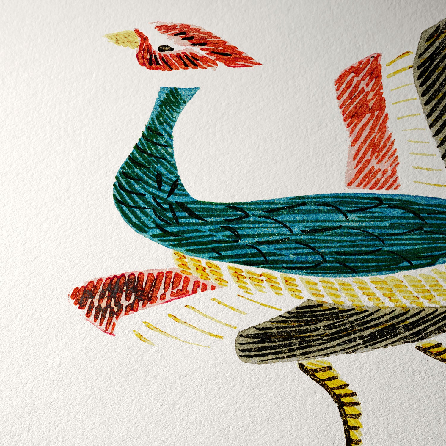 Pájaro multicolor