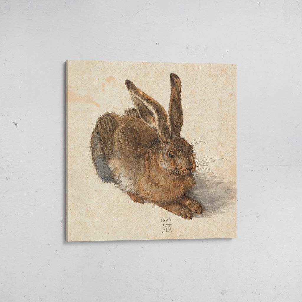 libre joven durero canvas