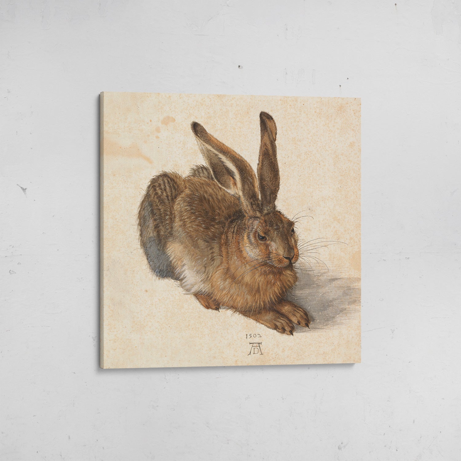 libre joven durero canvas